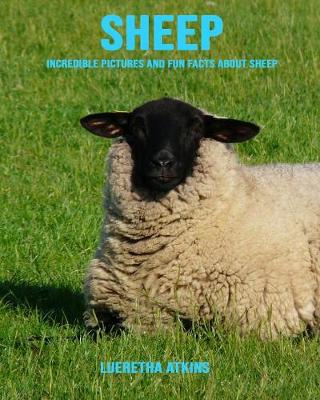 Book cover for Sheep