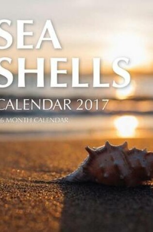 Cover of Sea Shells Calendar 2017