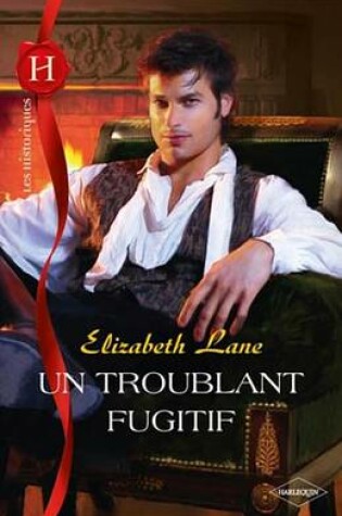 Cover of Un Troublant Fugitif