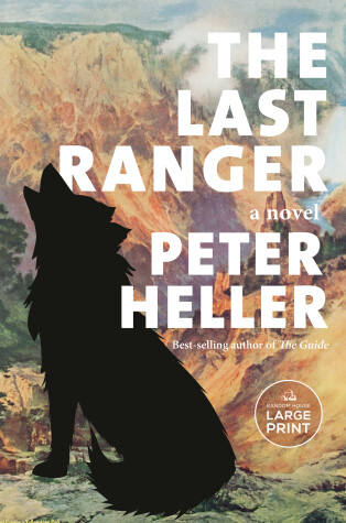 Book cover for The Last Ranger
