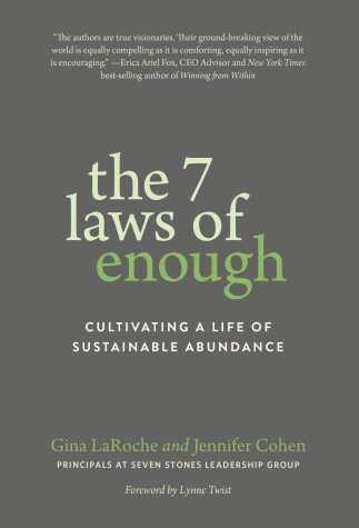 Book cover for The 7 Laws of Enough