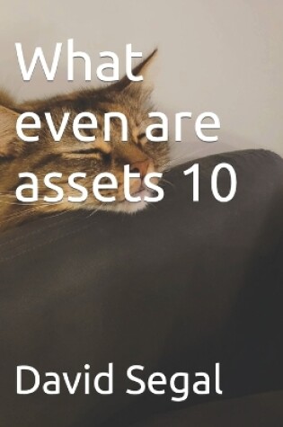 Cover of What even are assets 10
