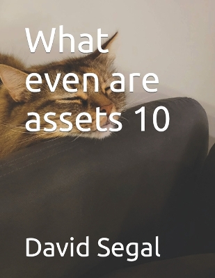 Book cover for What even are assets 10