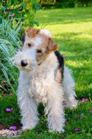 Cover of Wire Fox Terrier