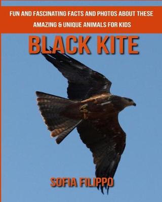 Book cover for Black Kite