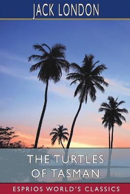 Book cover for The Turtles of Tasman (Esprios Classics)