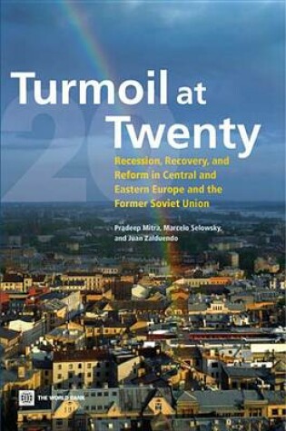 Cover of Turmoil at Twenty