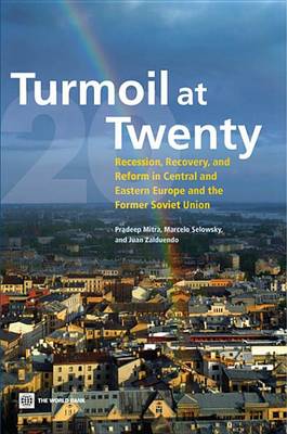 Book cover for Turmoil at Twenty