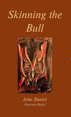Book cover for Skinning the Bull