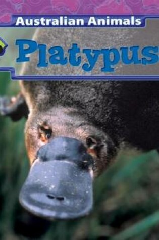 Cover of Platypuses