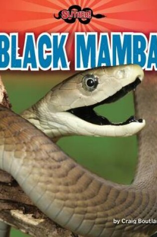 Cover of Black Mamba