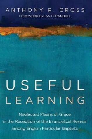 Cover of Useful Learning