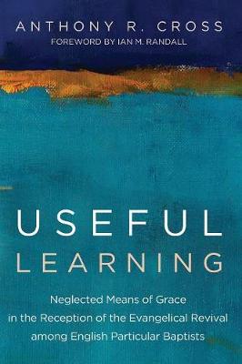 Book cover for Useful Learning