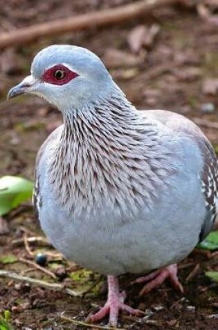 Cover of Solitary Speckled Pigeon Journal