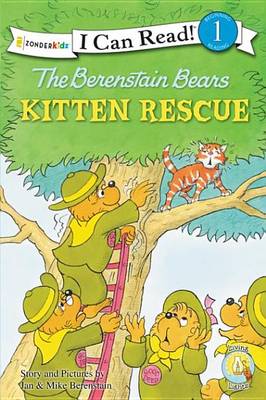 Book cover for The Berenstain Bears' Kitten Rescue