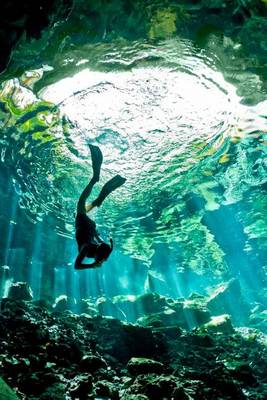 Book cover for Diving in a Cenote in the Yucatan Peninsula Mexico Journal