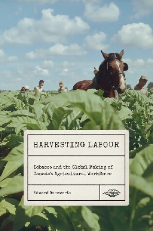 Cover of Harvesting Labour