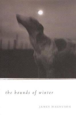 Book cover for The Hounds of Winter