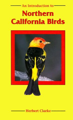 Book cover for An Introduction to Northern California Birds