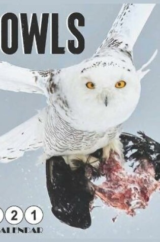 Cover of owls 2021 Wall Calendar