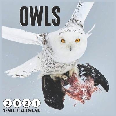 Book cover for owls 2021 Wall Calendar