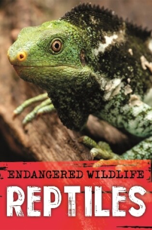 Cover of Endangered Wildlife: Rescuing Reptiles