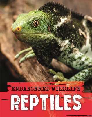 Book cover for Endangered Wildlife: Rescuing Reptiles