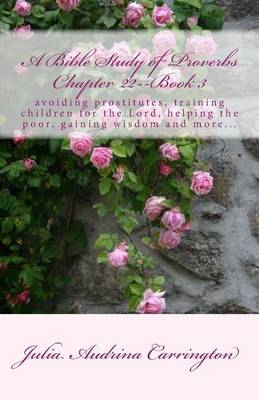 Book cover for A Bible Study of Proverbs Chapter 22--Book 3