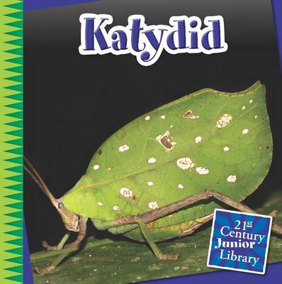 Book cover for Katydid