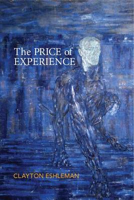 Book cover for The Price of Experience