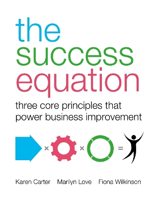 Book cover for The Success Equation