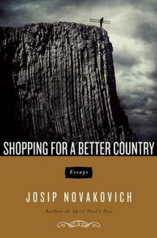 Cover of Shopping For A Better Country