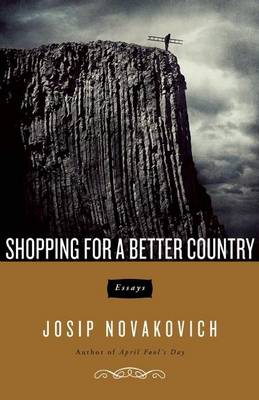 Book cover for Shopping For A Better Country