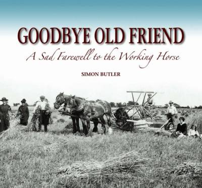 Book cover for Goodbye Old Friend