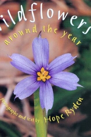 Cover of Wildflowers Around the Year