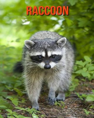 Book cover for Raccoon