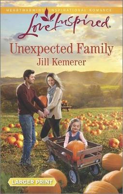 Book cover for Unexpected Family