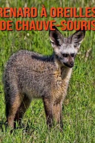 Cover of Renard à Oreilles de Chauve-Souris