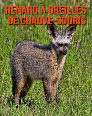 Book cover for Renard à Oreilles de Chauve-Souris