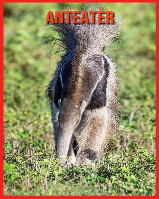 Book cover for Anteater