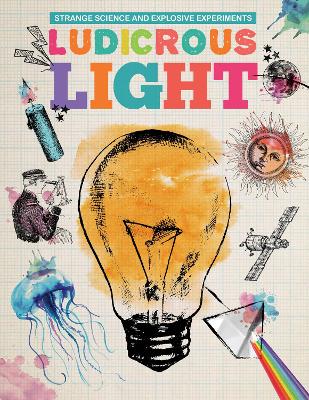 Book cover for Ludicrous Light