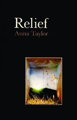 Book cover for Relief