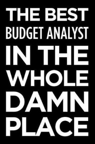 Cover of The Best Budget Analyst in the Whole Damn Place