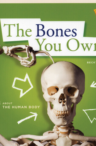 Cover of ZigZag: The Bones You Own