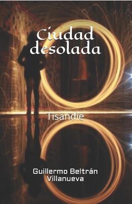 Book cover for Ciudad desolada