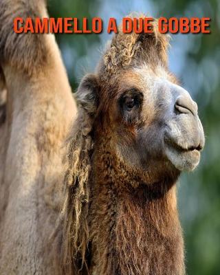 Book cover for Cammello a due gobbe