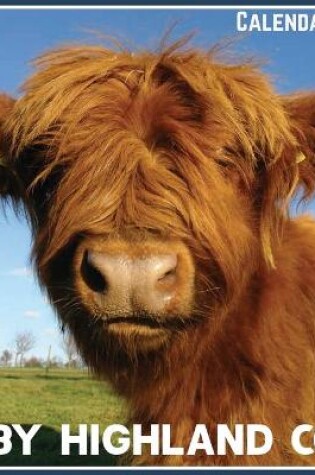 Cover of Baby Highland Cow Calendar 2021