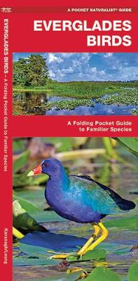 Book cover for Everglades Birds