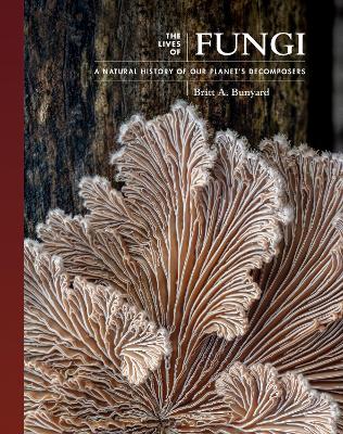 Book cover for The Lives of Fungi