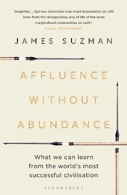 Book cover for Affluence Without Abundance